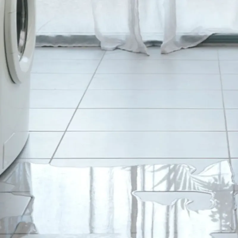 Appliance Leak Cleanup in Stowell, TX