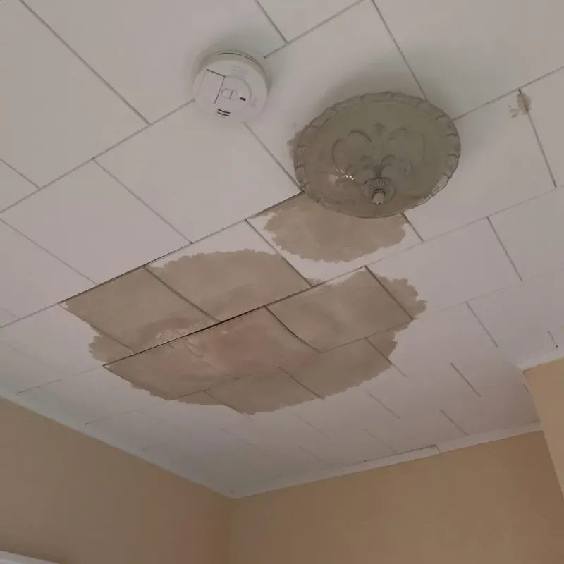 Ceiling Water Damage Repair in Stowell, TX