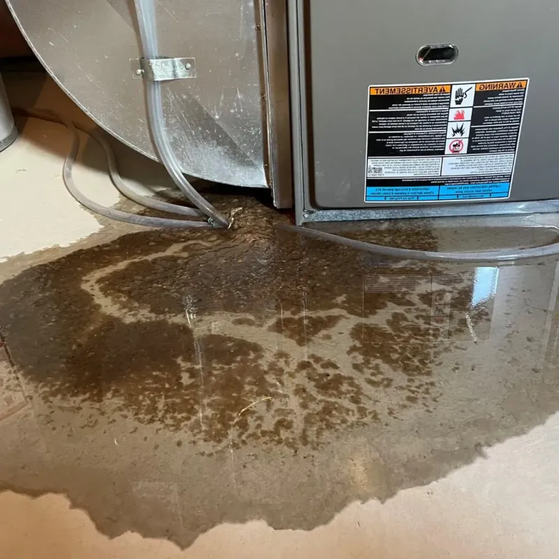 Pipe Burst and Leak Restoration in Stowell, TX