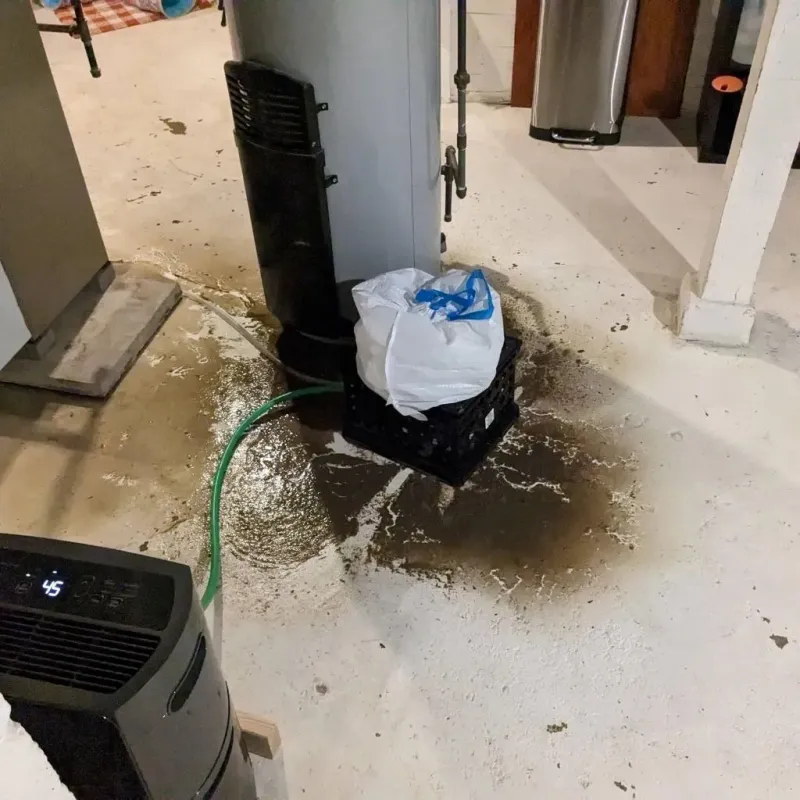 Sewage Backup Cleanup Service in Stowell, TX